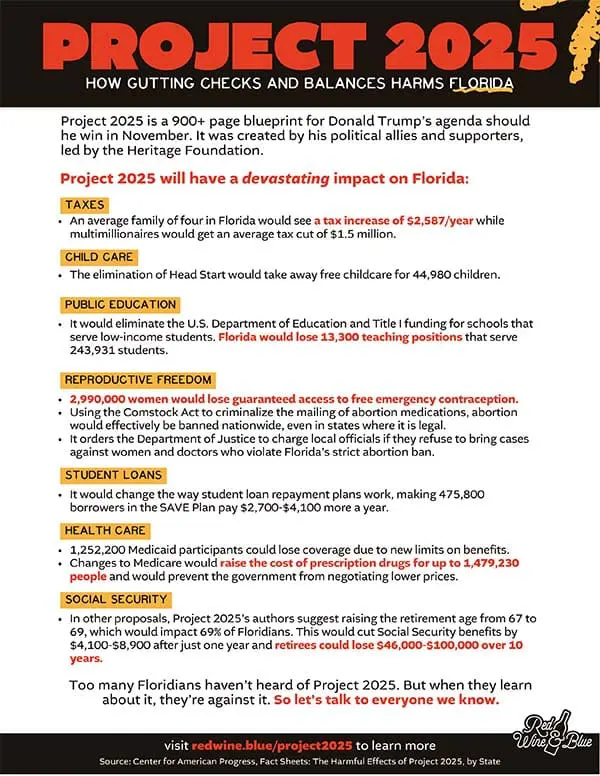 RWB-project-2025-cheatsheet project 2025 guide preview