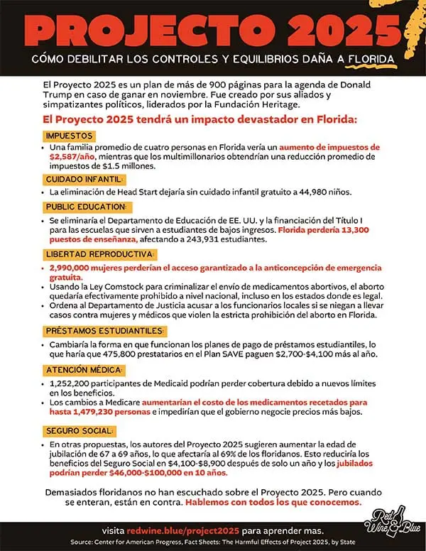 RWB-projecto-2025_600 Projecto 2025