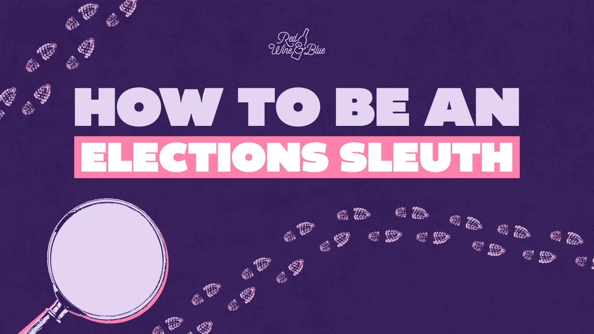 How to Be An Election Sleuth
