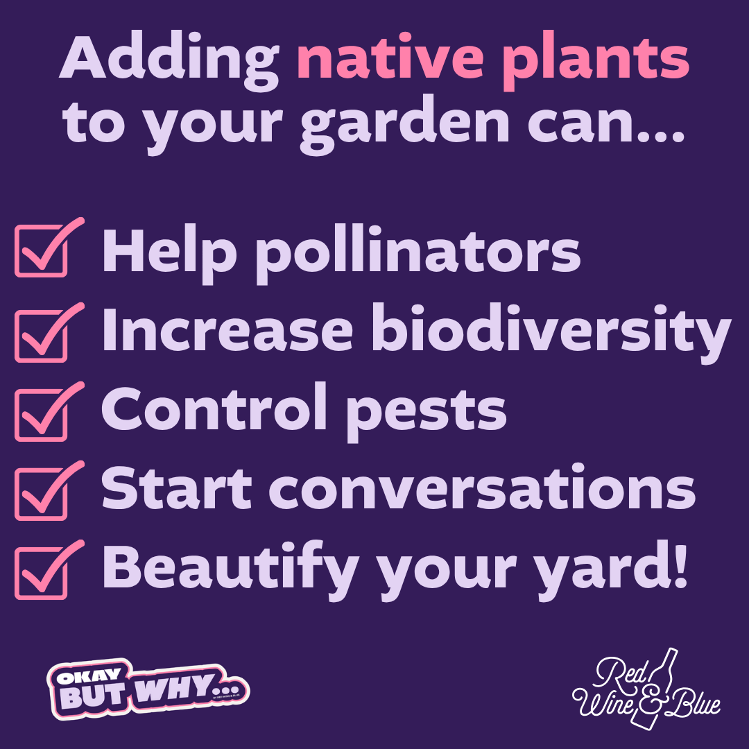 OBW Native Plants