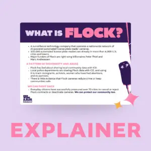 Flock Explainer