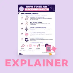How to be an Elections Sleuth explainer